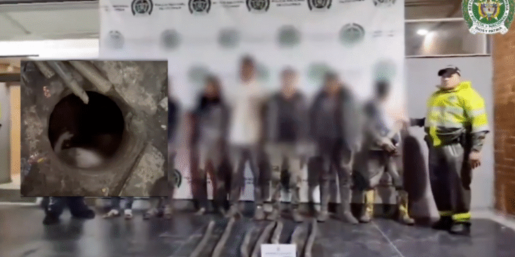 Autoridades capturan a banda que robaba fibra óptica de TransMilenio desde una alcantarilla