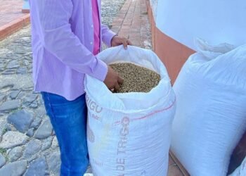 Fútbol americano, con sabor a café colombiano: Juan Valdez llega a la NFL