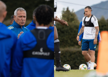 Un jugador libre y la renovación de contratos: los cambios que proyecta Hernán Torres en Millonarios