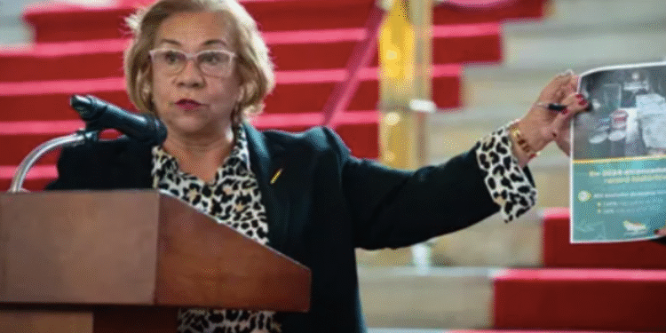 Canciller Rosa Villavicencio renunció a la visa estadounidense, en apoyo al presidente Petro