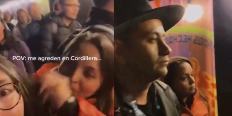 Se disculpó la mujer que protagonizó video viral por agresión en Festival Cordillera