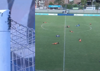 Panal de avispas obligó a suspender el partido entre Envigado y Millonarios en la Copa BetPlay