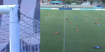 Panal de avispas obligó a suspender el partido entre Envigado y Millonarios en la Copa BetPlay