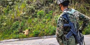 Corte ordena al Ejército reconocer la categoría de “no binario” en libreta militar