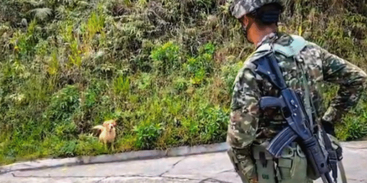 Corte ordena al Ejército reconocer la categoría de “no binario” en libreta militar