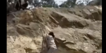 Video: estudiante cae al vacío mientras realizaba una actividad escolar, en Soacha