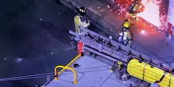 Video: bomberos héroes salvan a perrito atrapado por incendio en Medellín