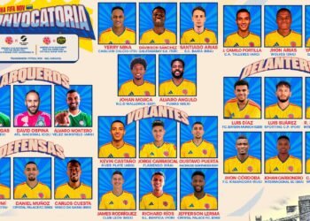 Borrador automático