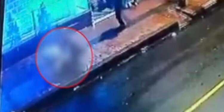 San Cristóbal riña