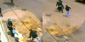 Video: Ladrones robaron y agredieron a mujer de la tercera edad que retiró la herencia de su esposo