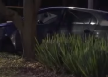 Estas serían las hipótesis del extraño accidente en donde falleció una mujer y un bebé de un año