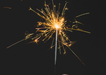 Por pólvora en Medellín, perro se lanzó de un octavo piso y murió; otro resultó herido