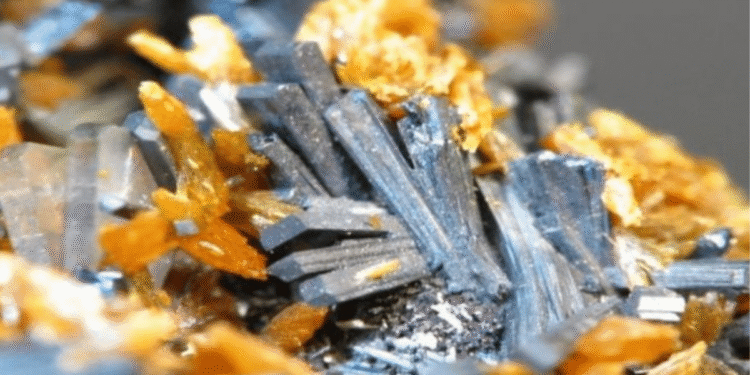 talio el poderoso veneno