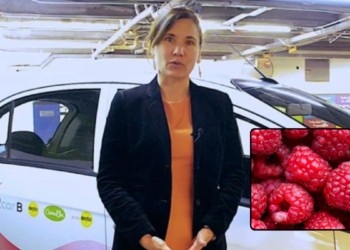 ¿Cómo llegó el talio a las frambuesas que envenenaron a niñas en Bogotá y quiénes son los cómplices? Esto se sabe