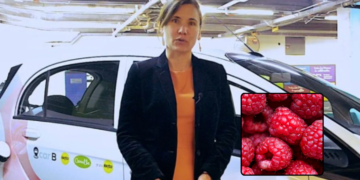 ¿Cómo llegó el talio a las frambuesas que envenenaron a niñas en Bogotá y quiénes son los cómplices? Esto se sabe