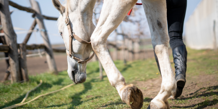 Restaurante campestre donde niña de cuatro años murió se pronunció y contó su versión