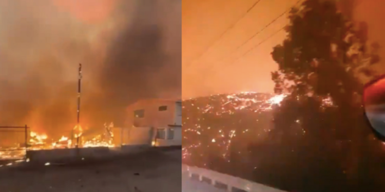 20.000 personas fueron evacuadas por incendios forestales en Ñuble y Biobío en Chile