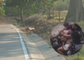 Madre trasladó en mototaxi