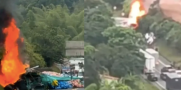 Video: ocho muertos deja gravísimo accidente entre bus y tractocamión en la vía Panamericana