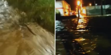 Una madre y sus dos hijas se ahogaron al ser arrastradas por una quebrada en Tuluá