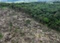 La Amazonía colombiana enfrenta un punto crítico