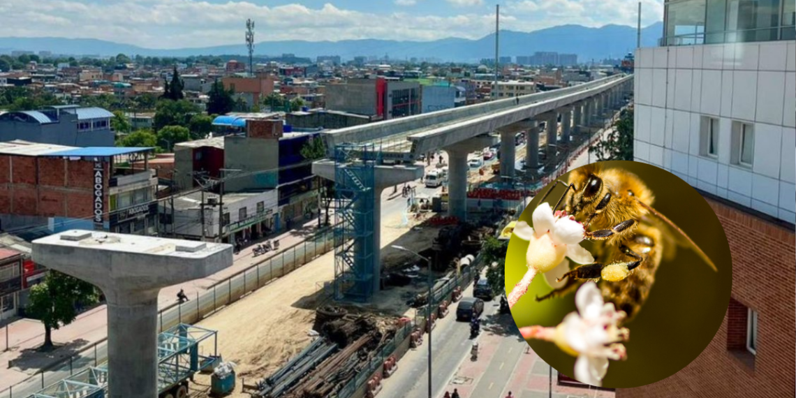 Abejas hacen una pausa en las obras del Metro de Bogotá