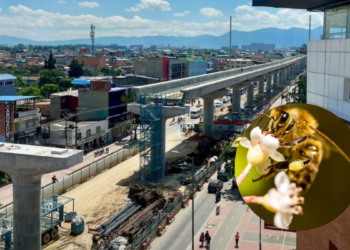 Abejas hacen una pausa en las obras del Metro de Bogotá