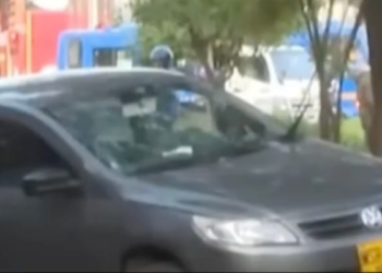 Accidente en el Jardín Botánico habría sido un montaje